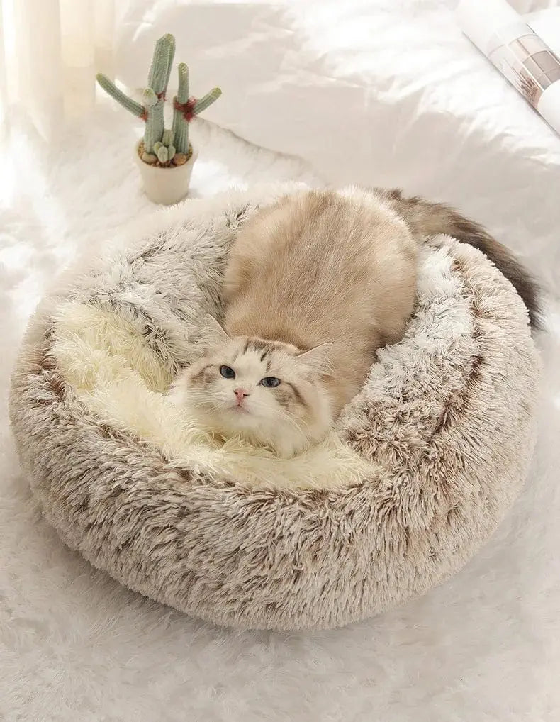 Cocoon Dream™