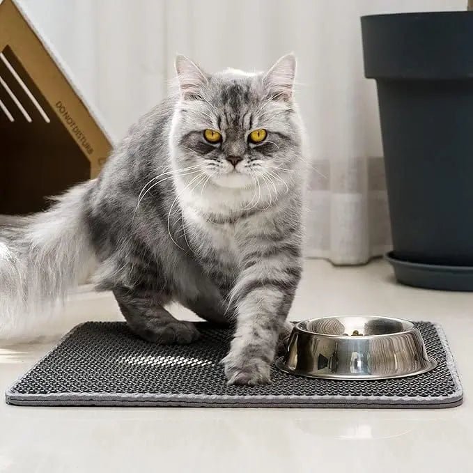 CarpetClean™