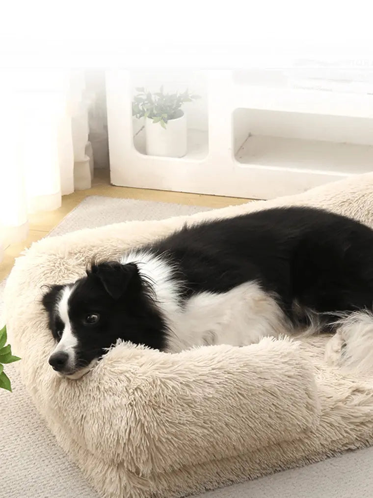 Sofa Dream™