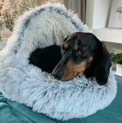 Cocoon Dream™