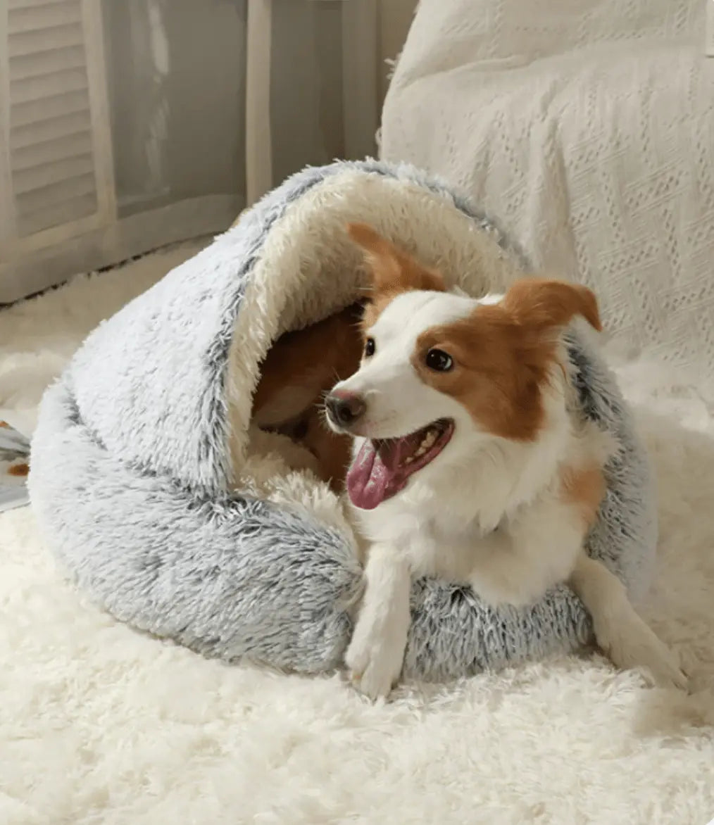 Cocoon Dream™
